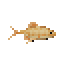 Copper Roach